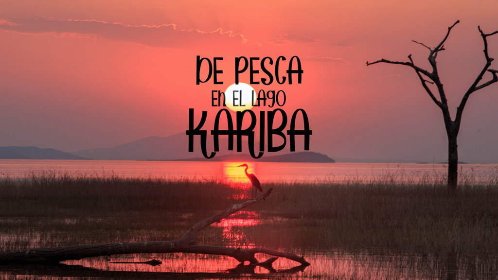 De Pesca En El Lago Kariba, Zimbabwe