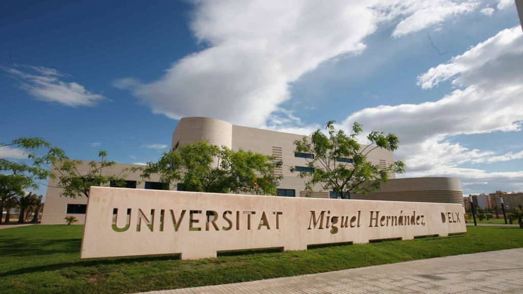 Reportajes Umh