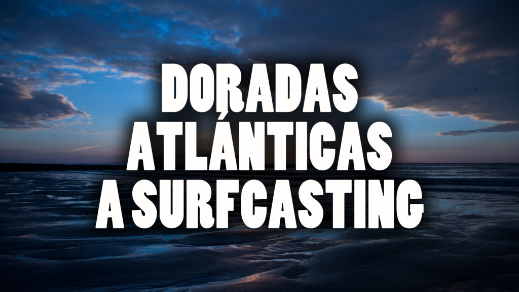 Doradas Atlanticas A Surfcasting