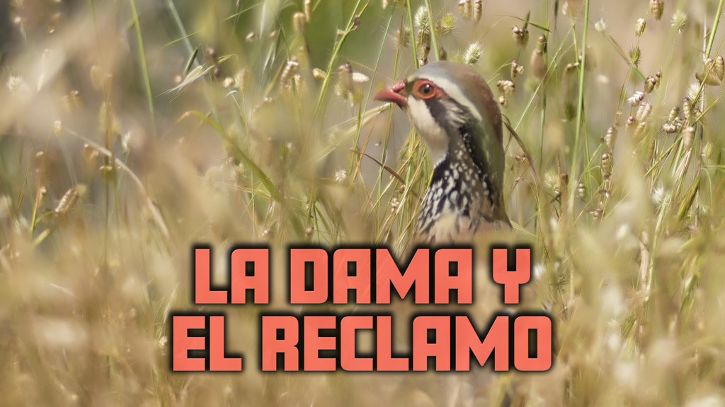 La dama y el reclamo