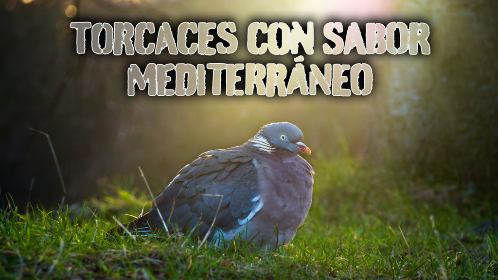 Torcaces con sabor mediterráneo