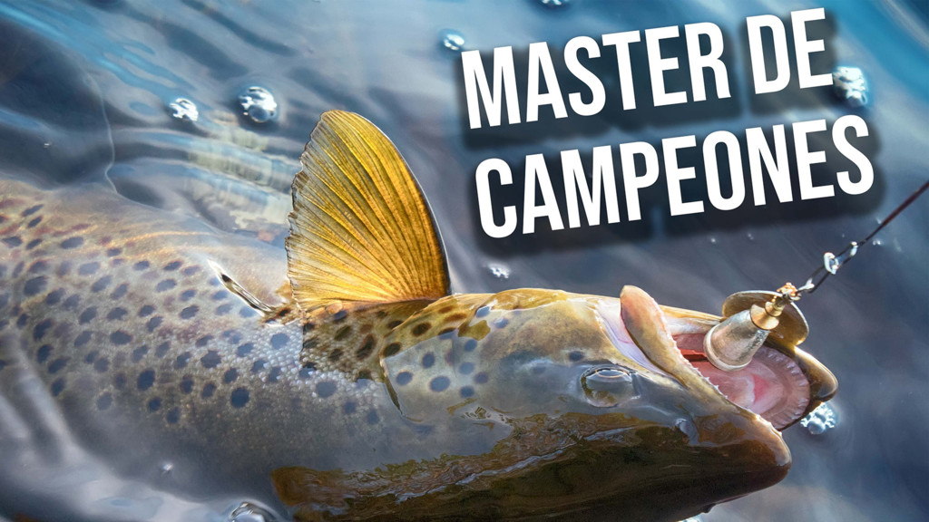 Master De Campeones