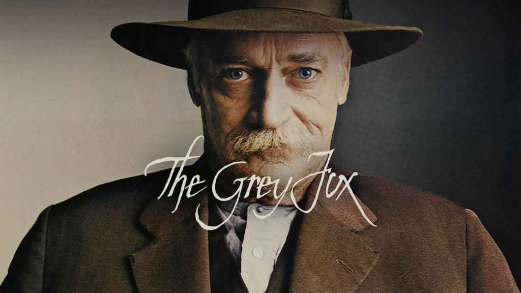 El zorro gris