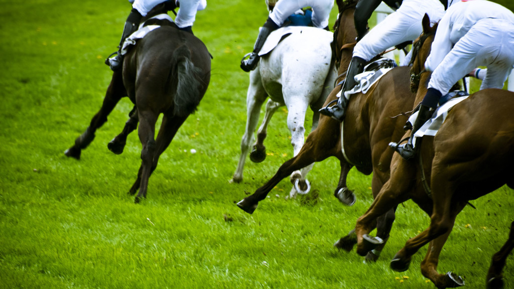 Carreras de caballos - Turf