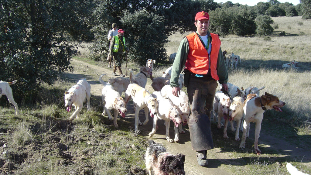De montería