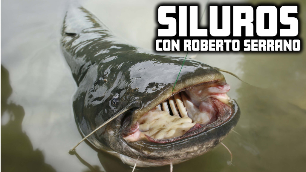 Siluros Con Roberto Serrano