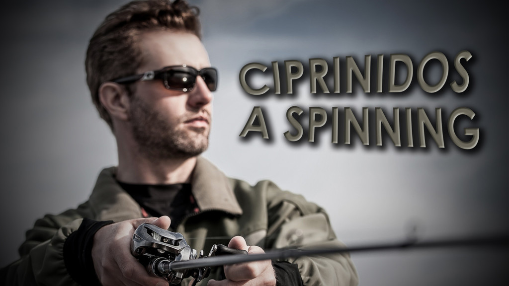 Ciprinidos A Spinning
