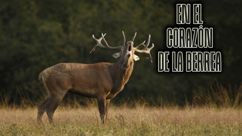 En El Corazon De La Berrea