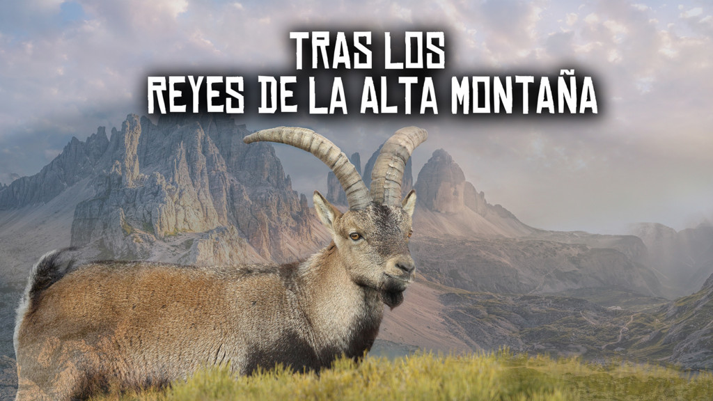 Tras los reyes de la alta montaña