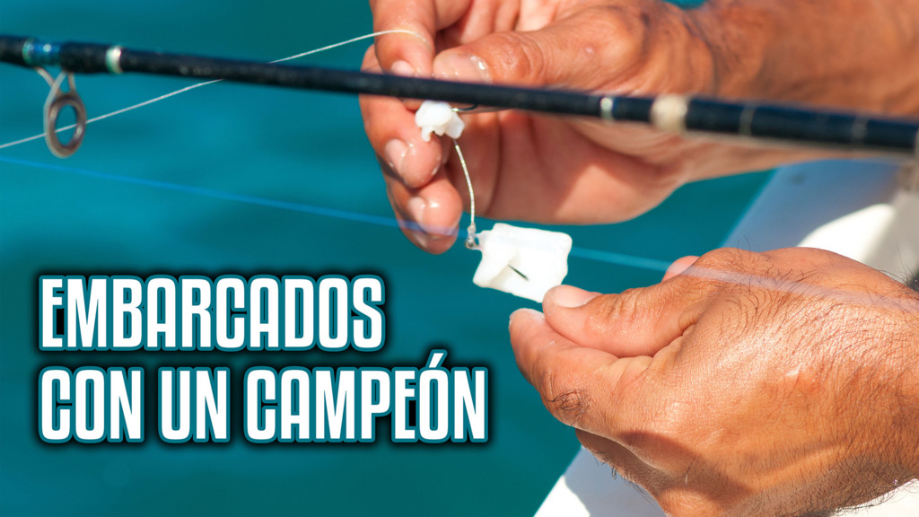 Embarcados Con Un Campeon