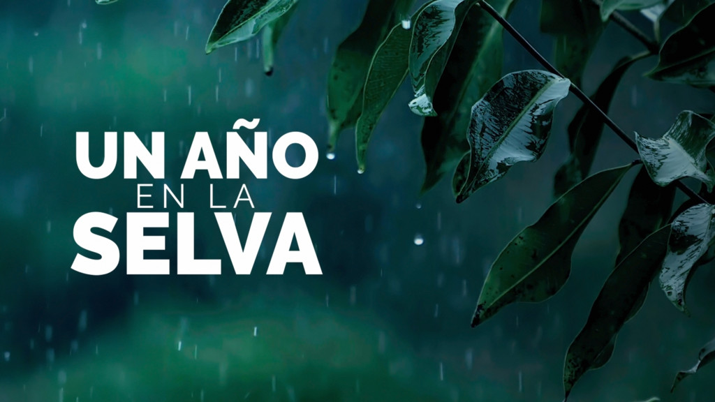 Un año en la selva