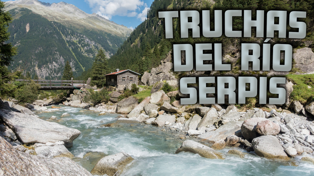 Truchas Del Río Serpis