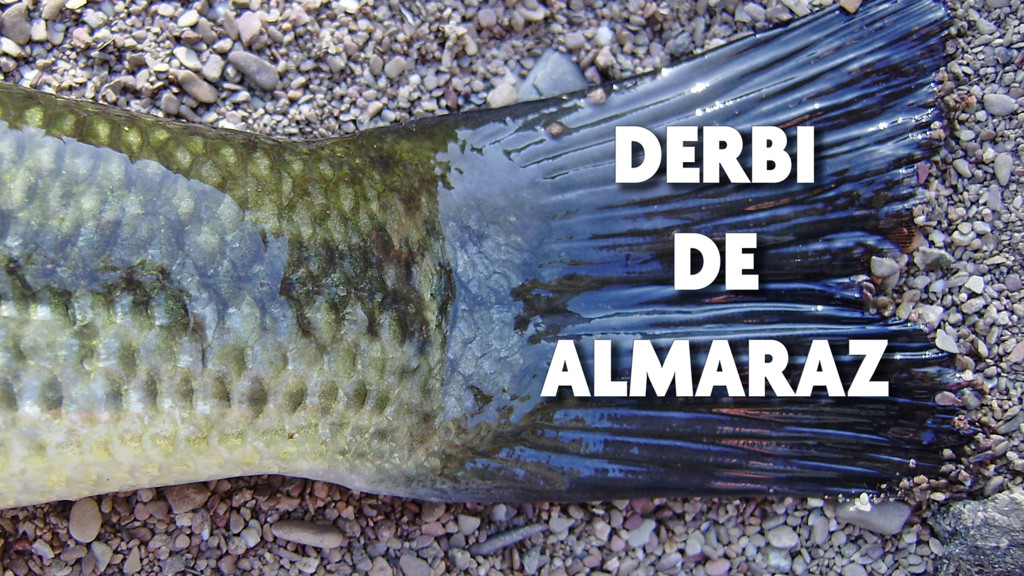Derbi De Almaraz