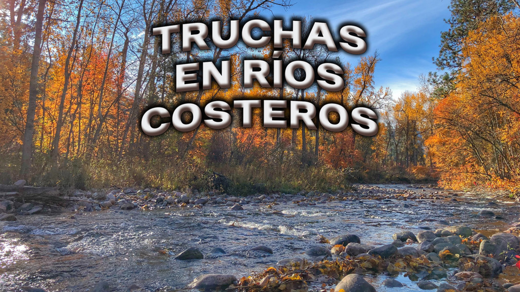 Truchas En Ríos Costeros