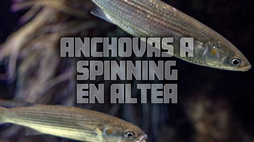 Anchovas A Spinning En Altea