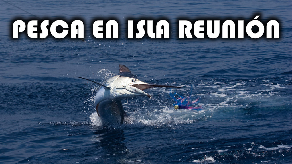 Pesca En Isla Reunión