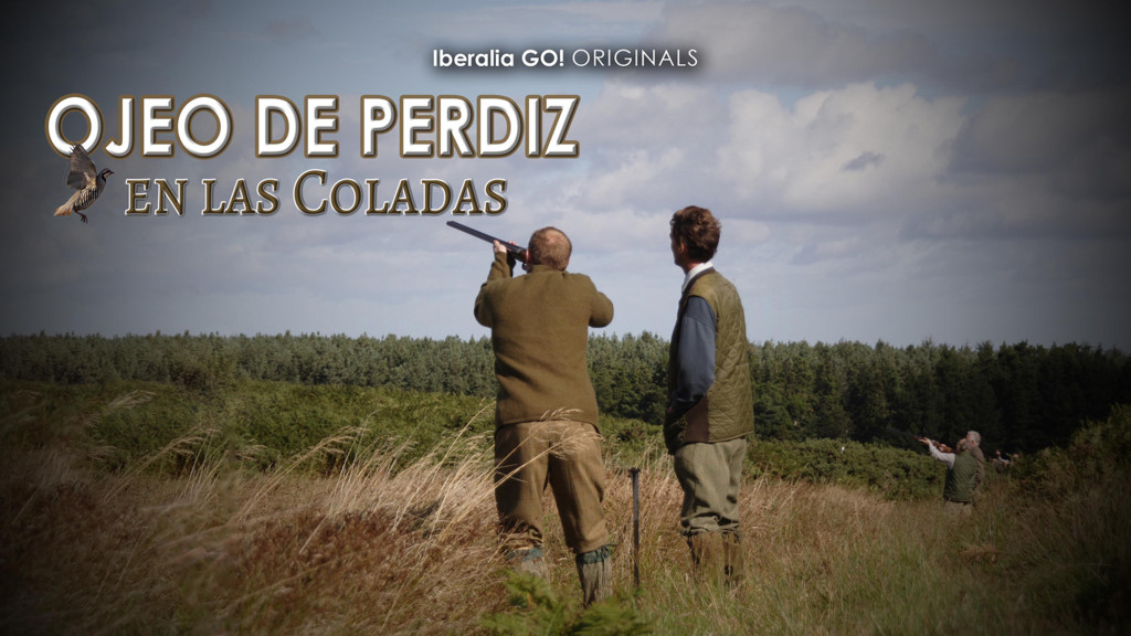 Entre amigos. ojeo de perdiz en las coladas