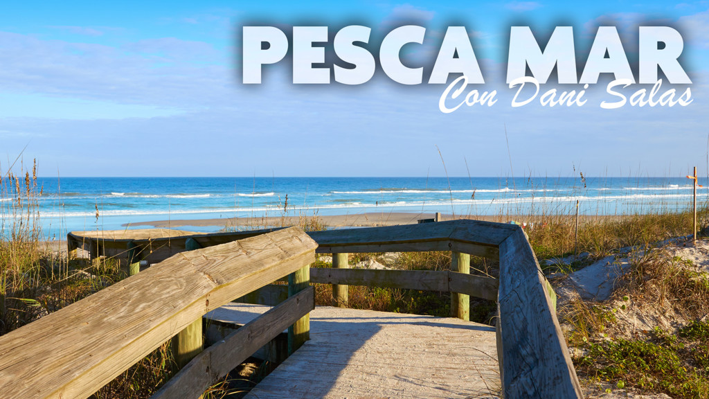 Pesca Mar Con Dani Salas