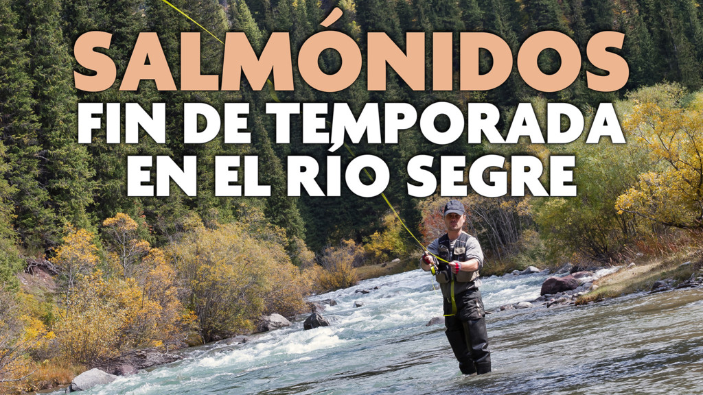 Salmónidos Fin De Temporada En El Río Segre