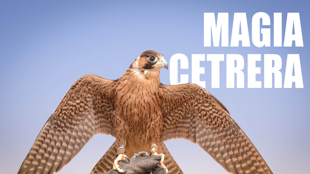 Magia Cetrera