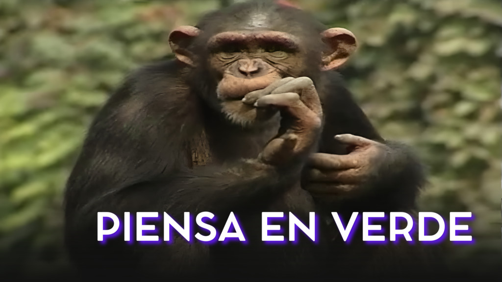 Piensa en verde