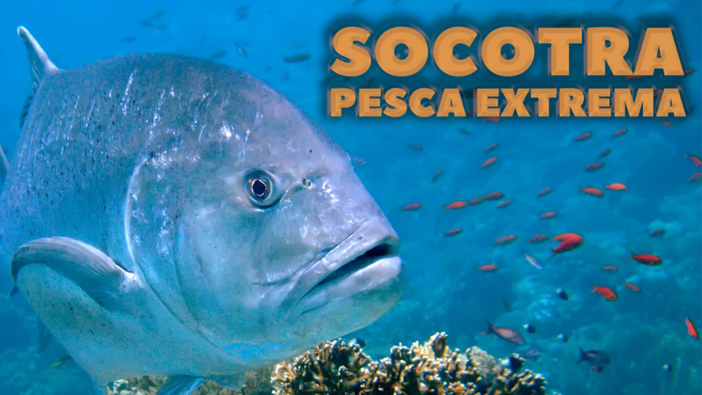 Socotra: pesca extrema