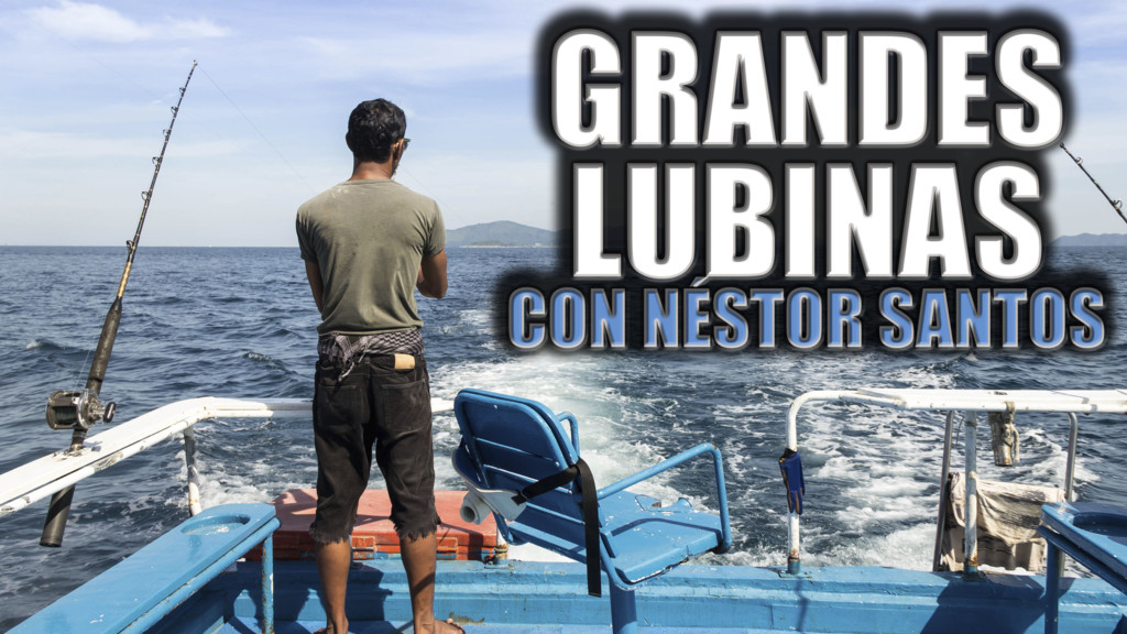 Grandes Lubinas Con Nestor Santos