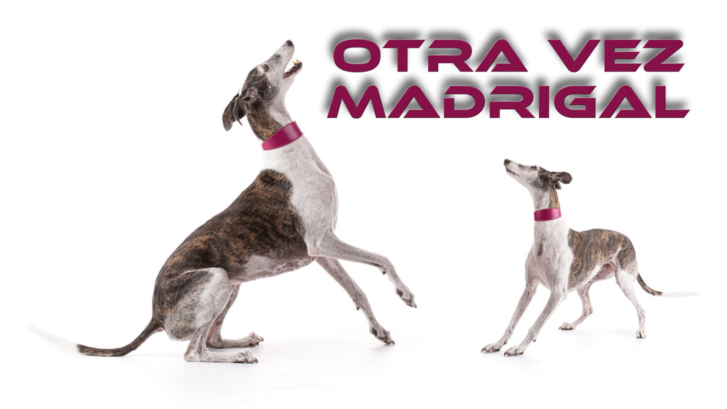 Otra vez madrigal