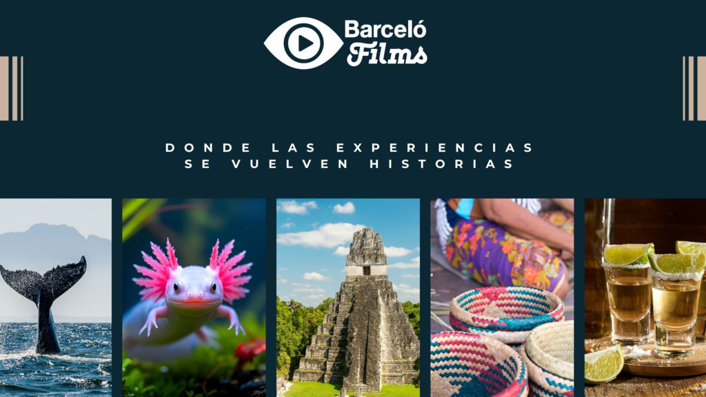 Barcelo Films