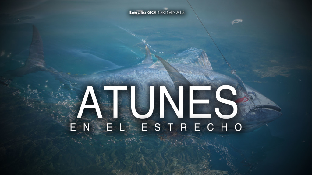 Atunes en el estrecho