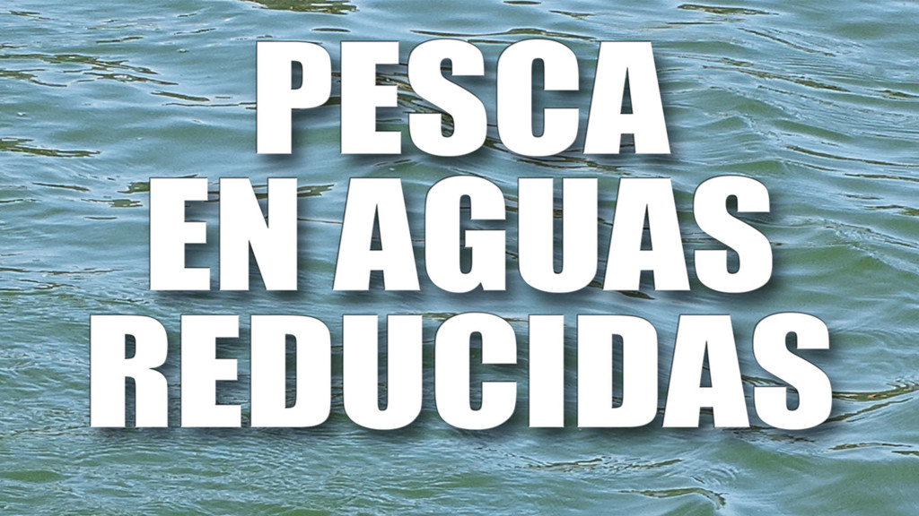 Pesca En Aguas Reducidas