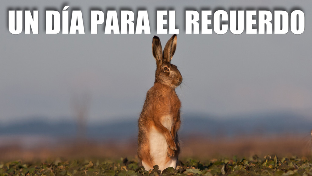 Un Dia Para El Recuerdo