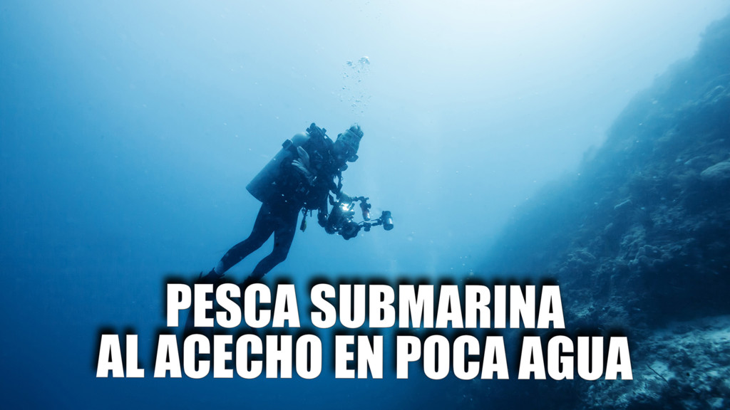 Pesca Submarina Al Acecho En Poca Água