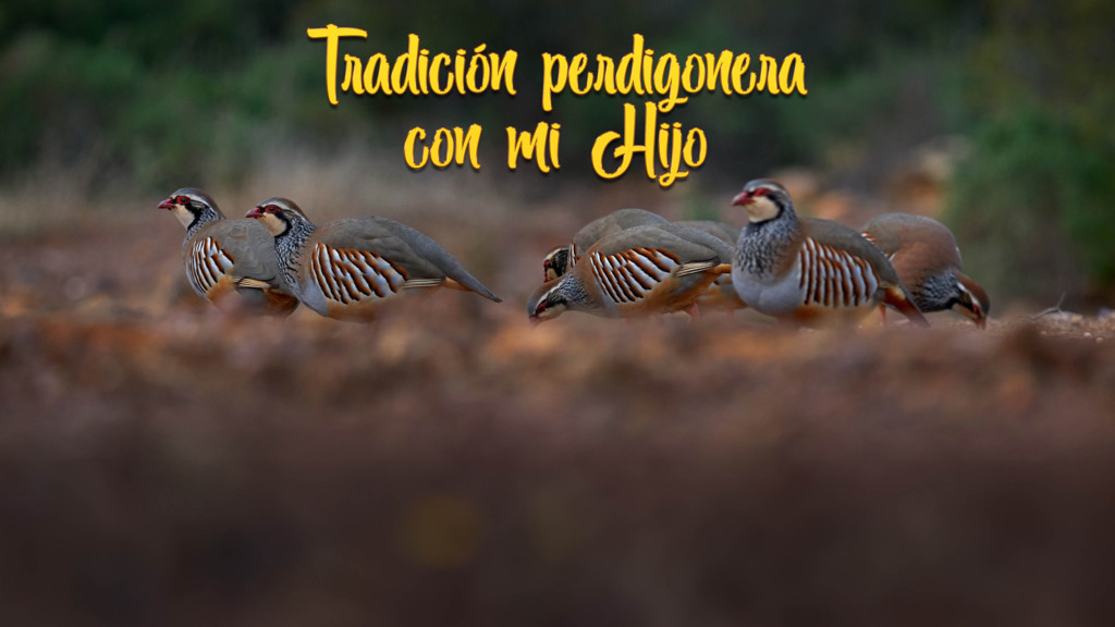 Tradición Perdigonera Con Mi Hijo