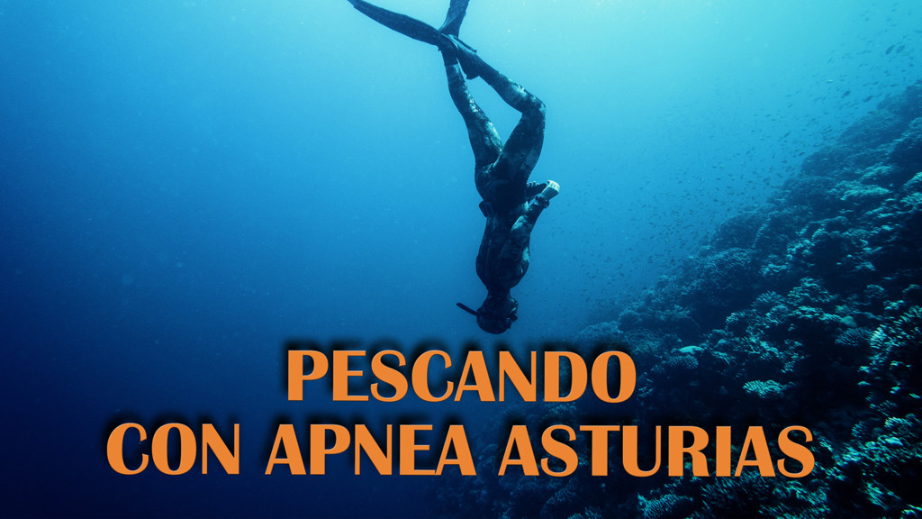 Pescando Con Apnea Asturias