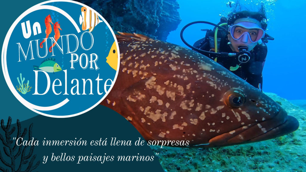 Un Mundo por Delante