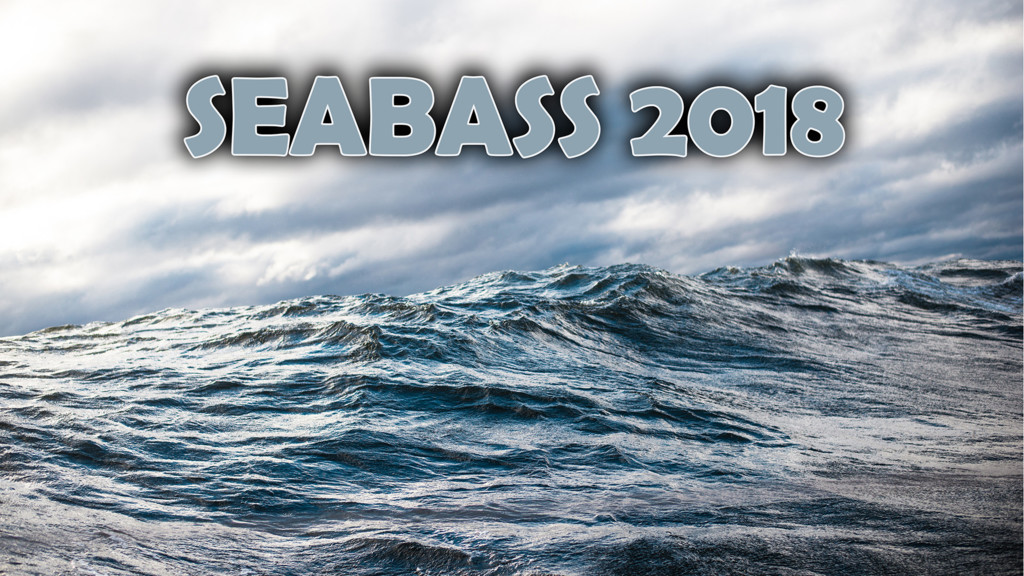 Seabass 2018