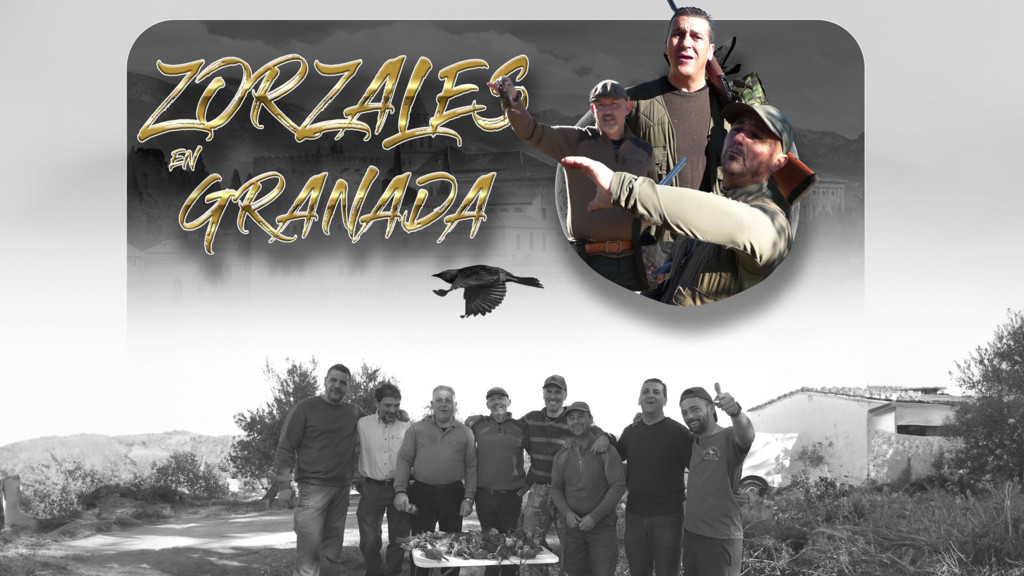 Zorzales en Granada