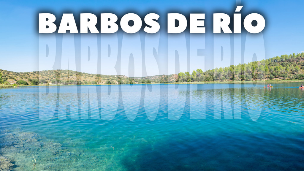 Barbos De Río