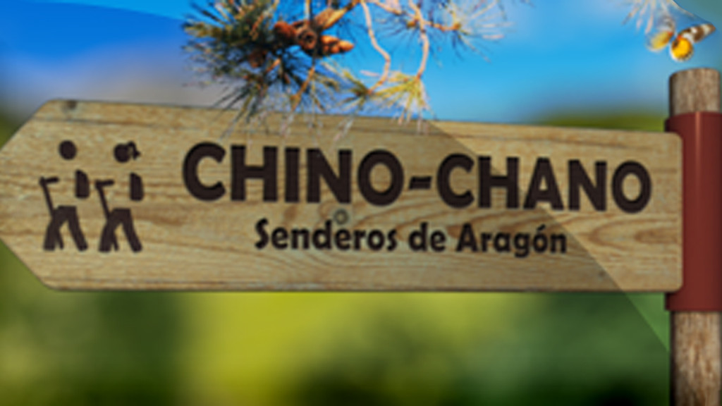 Chino chano
