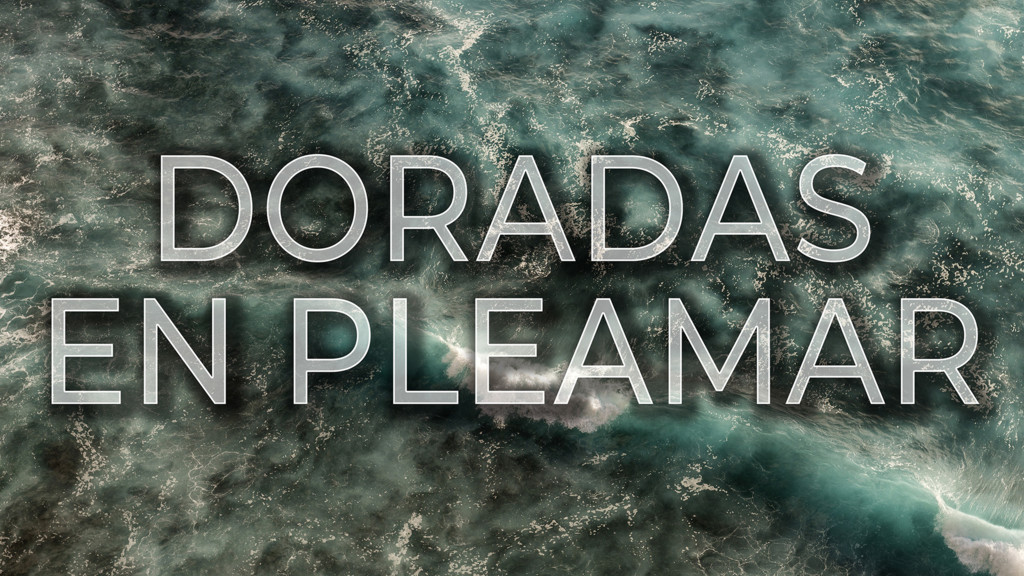 Doradas en Pleamar