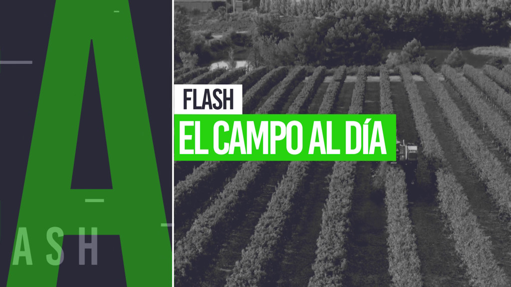 El campo al día