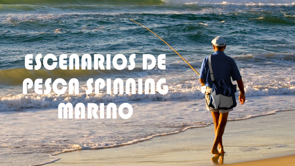 Escenarios de pesca spinning marino