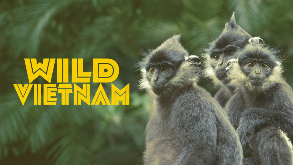 Wild Vietnam