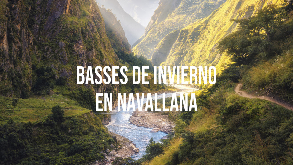 Piloña Un Río De Competición