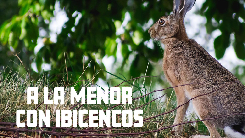 A la menor con ibicencos