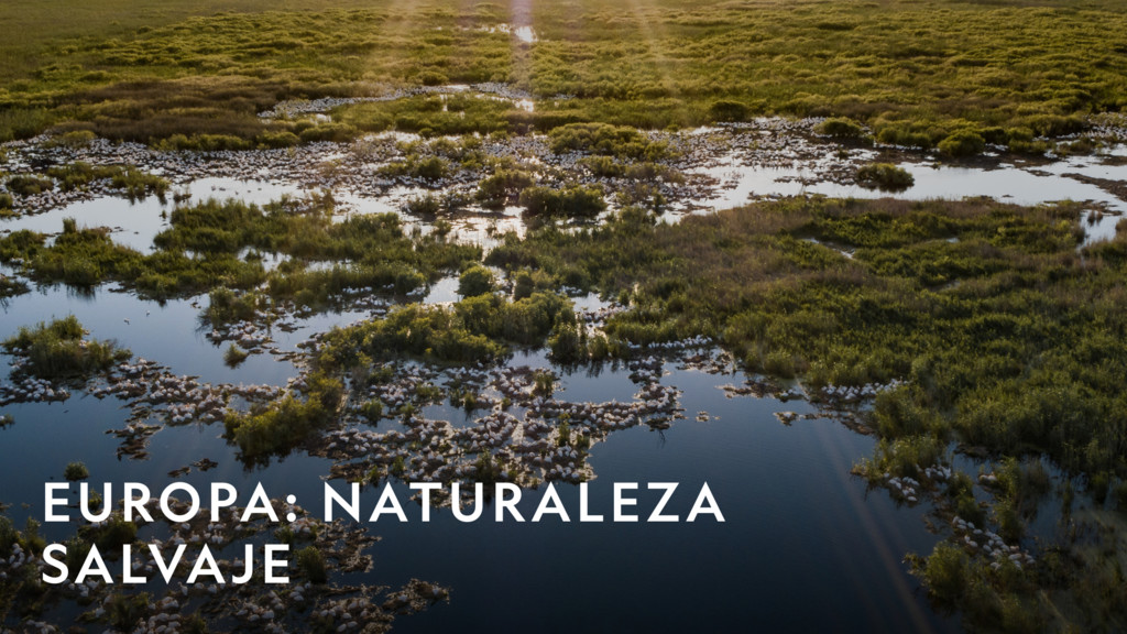 Europa: naturaleza salvaje