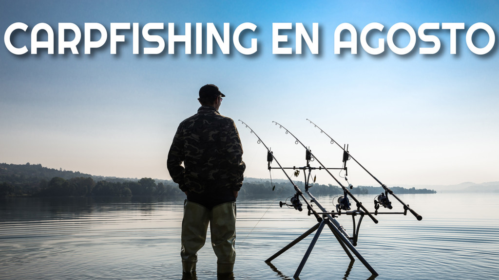 Carpfishing en agosto