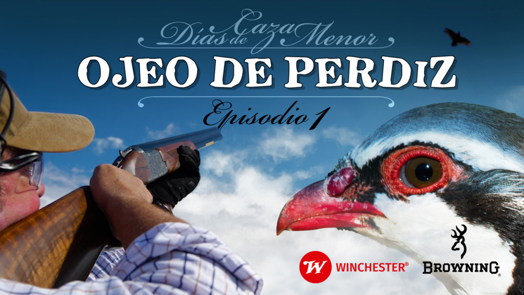 Días de caza menor - Ojeo de perdiz con Browning