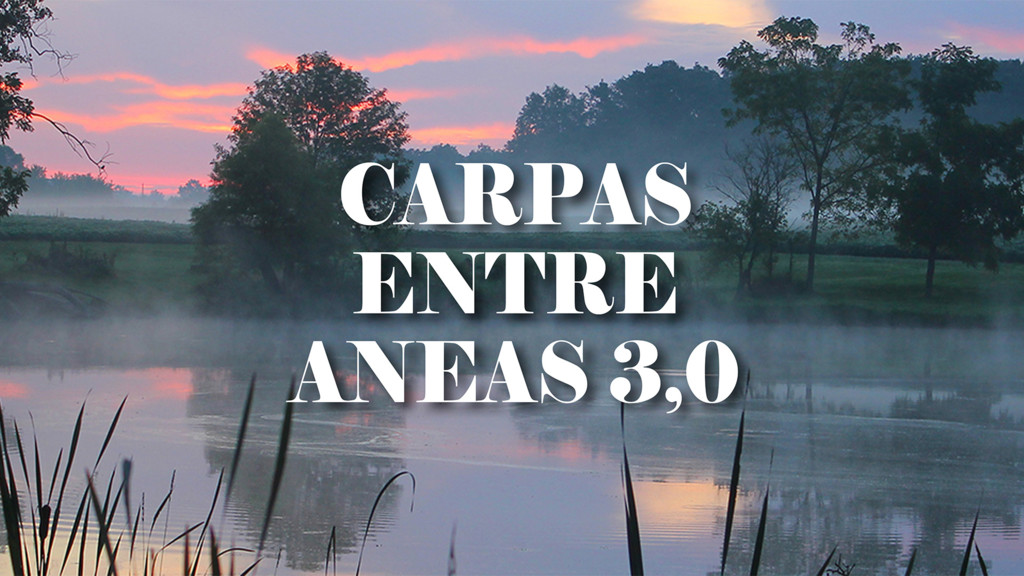 Carpas entre aneas 3.0